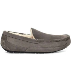 UGGAscot - Grey