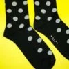 MarniPolka Dots Nylon Socks - Black -Modern Pant Wear Shop Black Polka Dots Nylon Socks 20230925215820