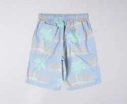 EdwinChiba Palm Shorts - Ice Blue -Modern Pant Wear Shop Edwin Chiba Palm Shorts Ice Blue 20201117232855 1