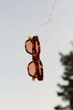 MonokelEllis Havana - Orange Solid Lens -Modern Pant Wear Shop Ellis Havana Orange Solid Lens 20220506221949 2